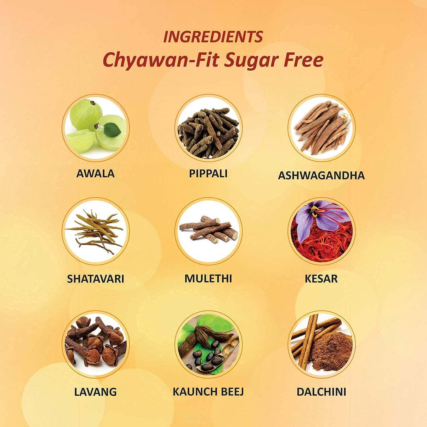 Chyawanfit Sugar Free